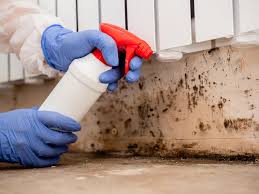 Rochester, WI Mold Inspection Company